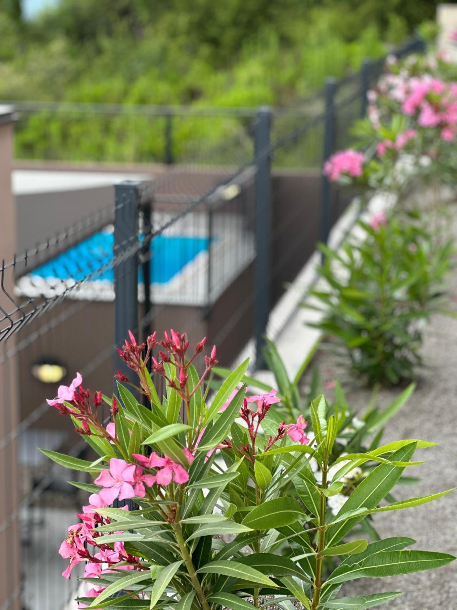 Residence Spa Apartments Dub Kotor Kültér fotó